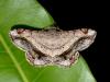 233647 – Photo : Didier Levasseur – Thaïlande