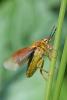 234614 – Photo : Didier Houbrechts – Belgique