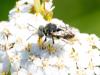 234678 – Photo : Kilien de Chateauvieux – France (37)