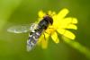 234058 – Photo : Olivier Pouvreau – France (86)