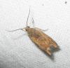 234981 – Photo : Axel Dehalleux – France (95)