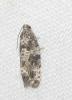 234979 – Photo : Axel Dehalleux – France (95)