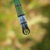 234432 – Photo : ORCHALLAN – France (44)
