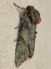 234349 – Photo : Bobabar – France (75)
