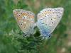 234006 – Photo : Guillaume Bigayon – France (51)