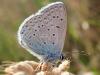 234163 – Photo : Guillaume Bigayon – France (51)