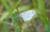 234139 – Photo : E.Richard – France (33)