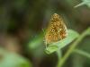 234910 – Photo : BourrinOman – France (83)
