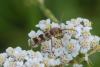 234991 – Photo : florent besson – France (18)