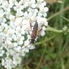 235490 – Photo : Vincent Mathy – France (64)