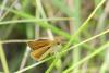 235075 – Photo : florent besson – France (18)