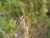 235747 – Photo : Maria Justamond – France (28)