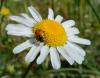 235802 – Photo : Maria Justamond – France (28)