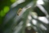 235923 – Photo : Ariel VAUTOR – Guyane française
