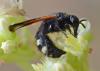 235890 – Photo : Liliane Delattre – France (30)