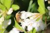235844 – Photo : francine VAPPEREAU – France (78)