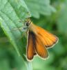 235083 – Photo : Catherine Reymonet-Smitten – France (19)