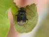 235545 – Photo : Guénael Hallart – France (02)