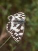 235225 – Photo : BourrinOman – France (83)