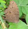 235095 – Photo : Norbert Verneau – Mayotte