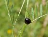 236114 – Photo : Maria Justamond – France (28)