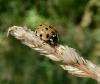 236055 – Photo : Maria Justamond – France (28)