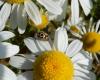 236575 – Photo : Maria Justamond – France (28)