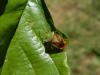 236180 – Photo : Maria Justamond – France (61)