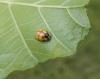 236749 – Photo : Maria Justamond – France (28)