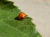 236017 – Photo : Maria Justamond – France (28)