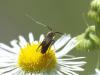 236582 – Photo : Florian ALONSO – France (69)