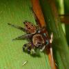 236034 – Photo : Didier Petot – Royaume-Uni
