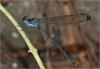 236164 – Photo : Benoit Guillon – Vietnam