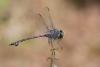 236081 – Photo : Nicolas Helitas – Croatie
