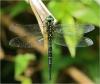 236261 – Photo : Benoit Guillon – Vietnam