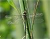 236263 – Photo : Benoit Guillon – Vietnam