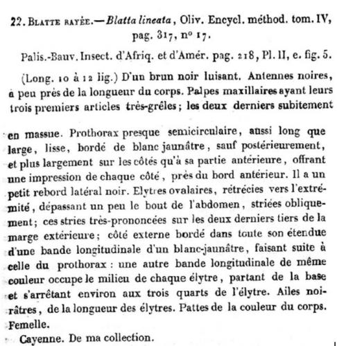 Indéterminé