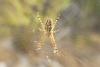 237140 – Photo : florent besson – France (13)