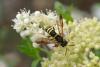 237893 – Photo : Michel Renou – France (91)