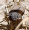237984 – Photo : Bernard Ginesy – France (13)