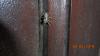 237651 – Photo : André Blasco – France (13)