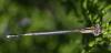 237792 – Photo : René Brenguier – France (13)