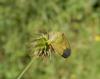 237281 – Photo : Maria Justamond – France (28)