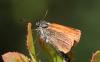 237383 – Photo : Yoann Pelouard – France (74)