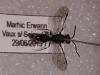237999 – Photo : Erwann Marhic – France (78)