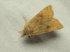 237741 – Photo : Luc Dietrich – France (73)