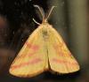 237603 – Photo : Franck Buron – France (49)