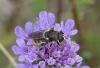 237377 – Photo : Sandor31 – France (09)