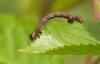 237776 – Photo : Jean-Pierre Viallard – France (28)
