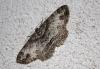 237705 – Photo : alain Roujas – France (31)